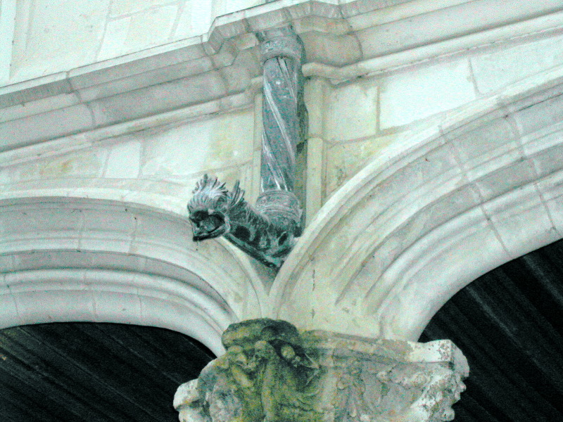 Downspout at Blois