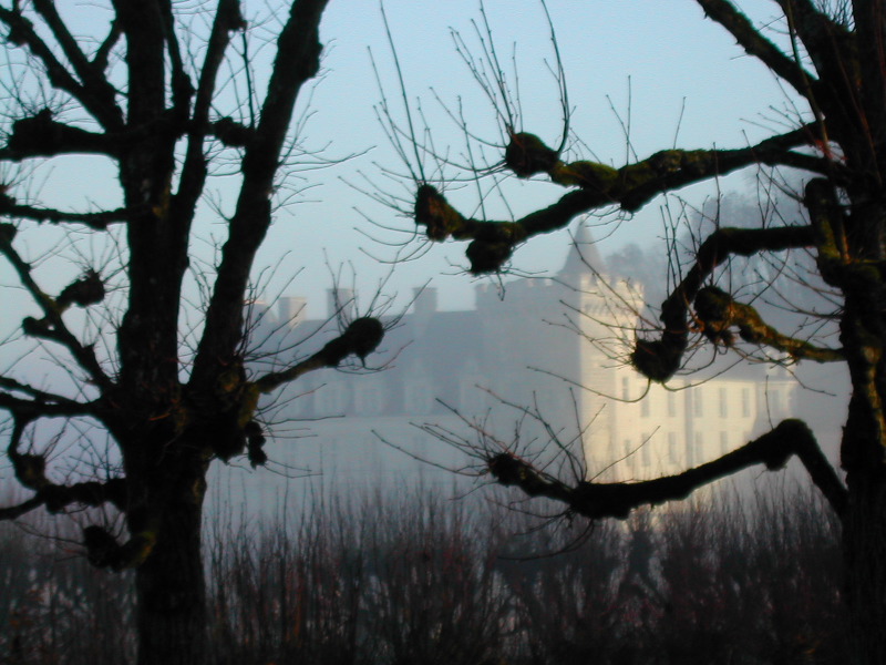 Villandry through trees