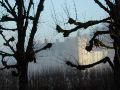 Villandry through trees