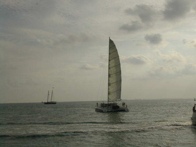 Catamaran