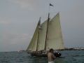 Attacking Schooner 2