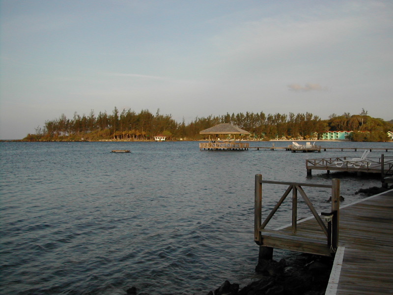 View from Street.JPG