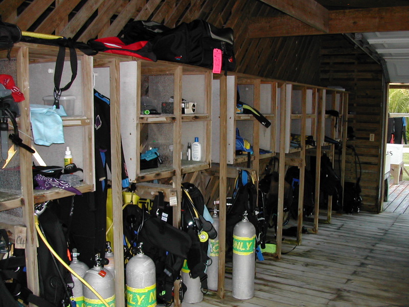 Our Dive Alley.JPG