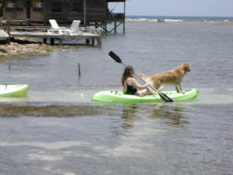Pancho Enroute.JPG