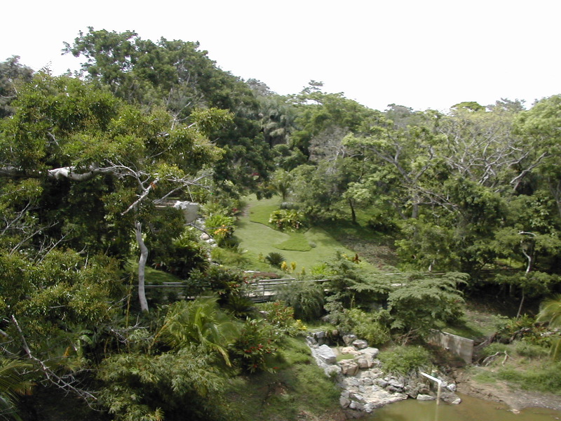 Gumbalima Park1.JPG