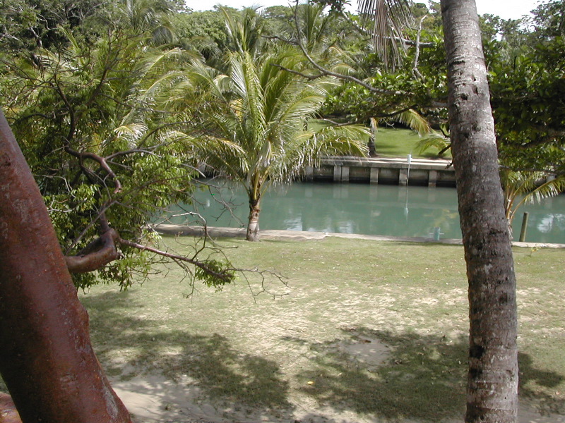 Gumbalimba Park3.JPG