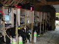 Our Dive Alley.JPG